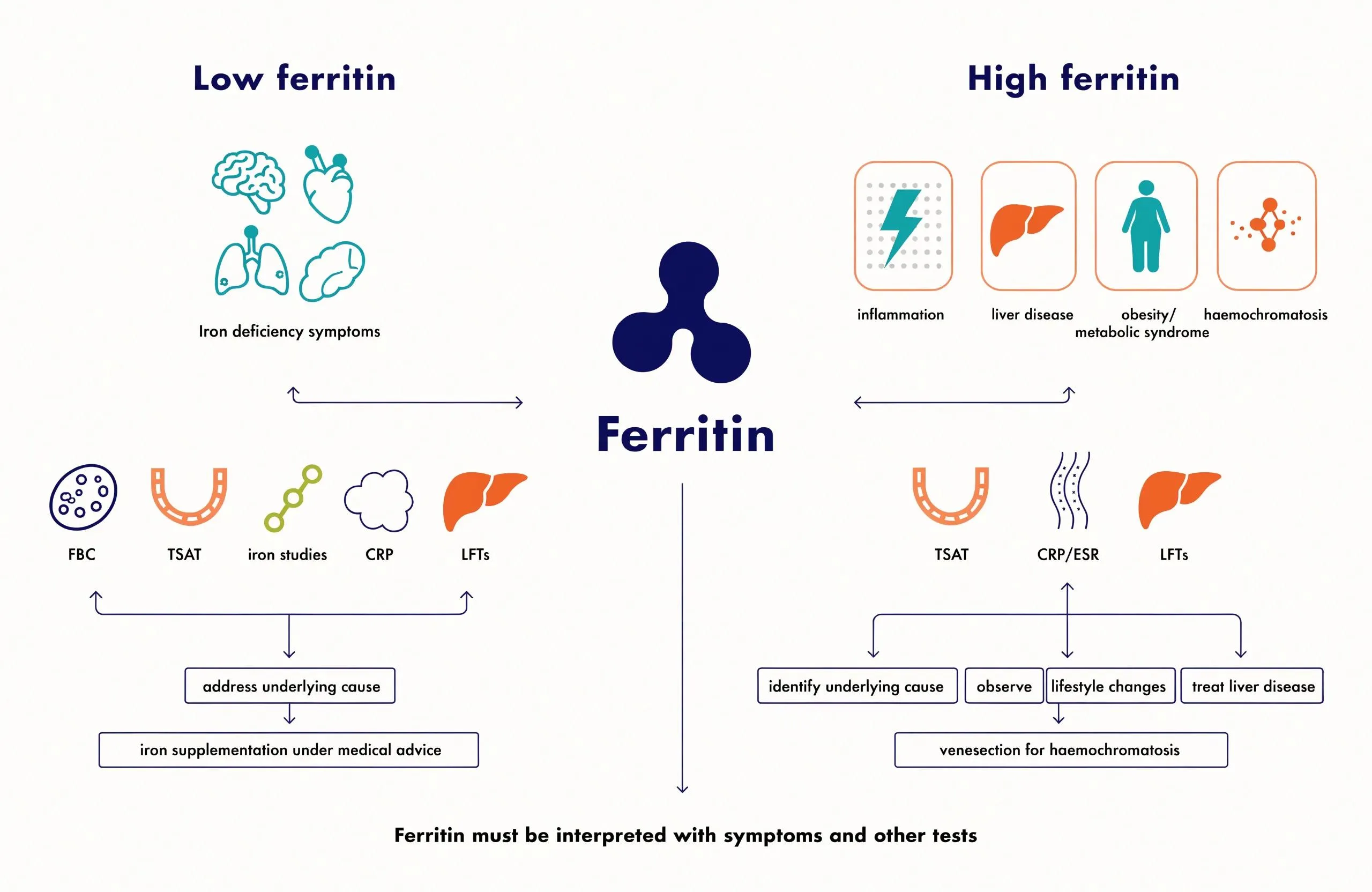 Blood sample taken for a ferritin and iron studies test