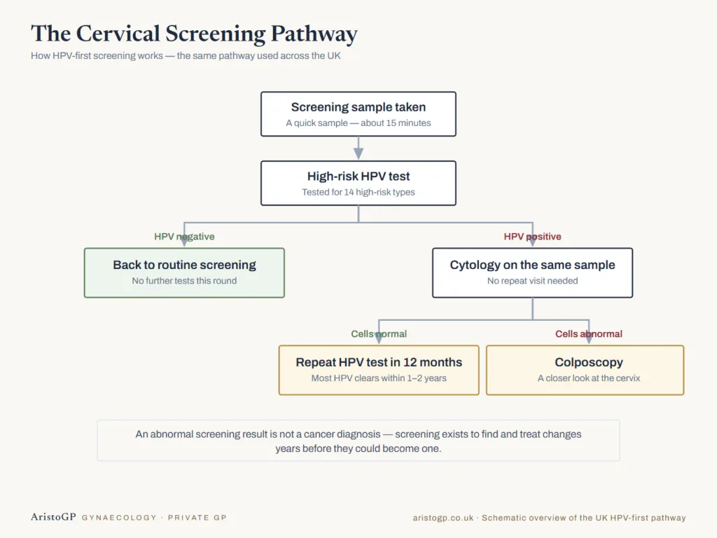 Diagram of the UK cervical screening pathway, from HPV test to cytology, repeat testing and colposcopy